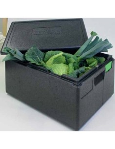 CAJA TERMOAISLANTE TOP-BOX GN 1/1