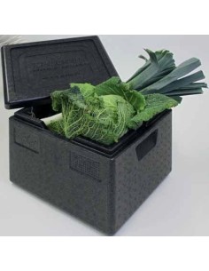 CAJA TERMOAISLANTE TOP-BOX GN 1/2
