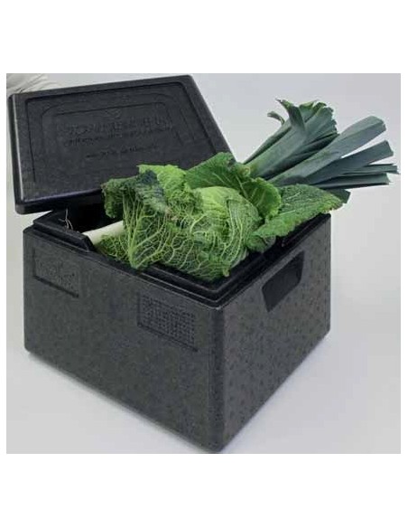 CAJA TERMOAISLANTE TOP-BOX GN 1/2