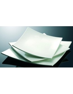 BANDEJA EXPOSICION CUADRADA BOMBEADA