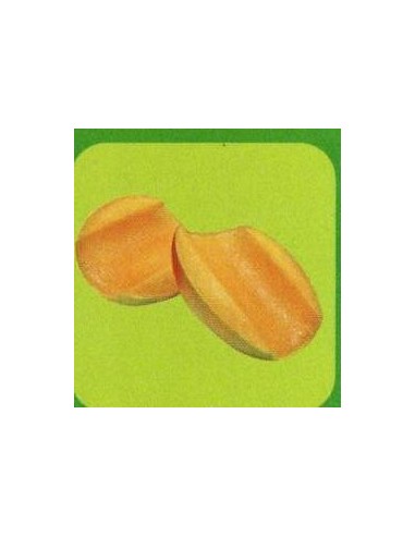 DESCORAZONADOR MANUAL DE MANGO