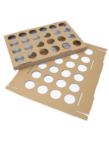 CAPSULAS PARA TULIPAS PLACA DE CARTON