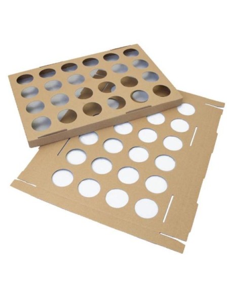 CAPSULAS PARA TULIPAS PLACA DE CARTON