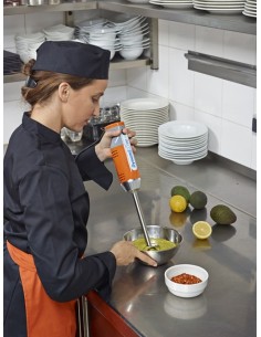 BATIDORA PROFESIONAL DYNAMIC - TRITURADOR / BATIDORA /... 2