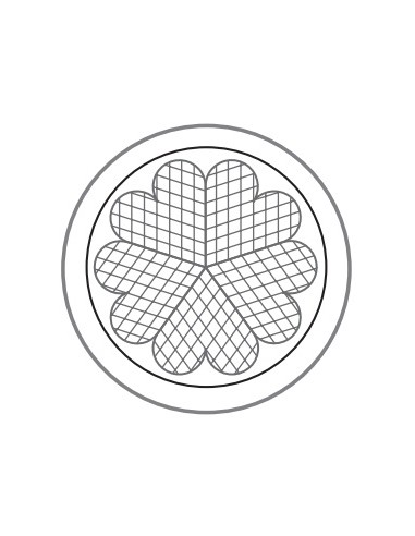 GOFRERA PROFESIONAL CORAZON 5
