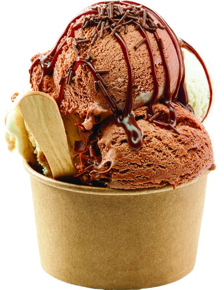 TARRINA CON TAPA PARA HELADOS