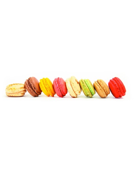 PLACAS DE MOLDES EN  SILICONA  MACARON
