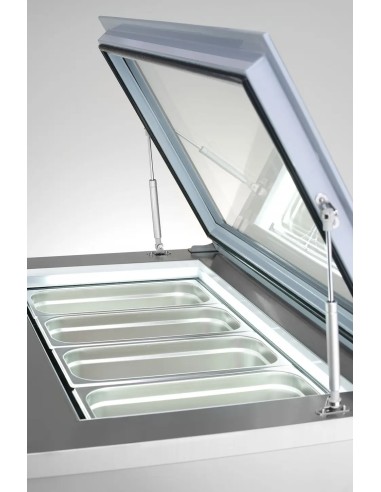 CONGELADOR EXPOSITOR DE 20L
